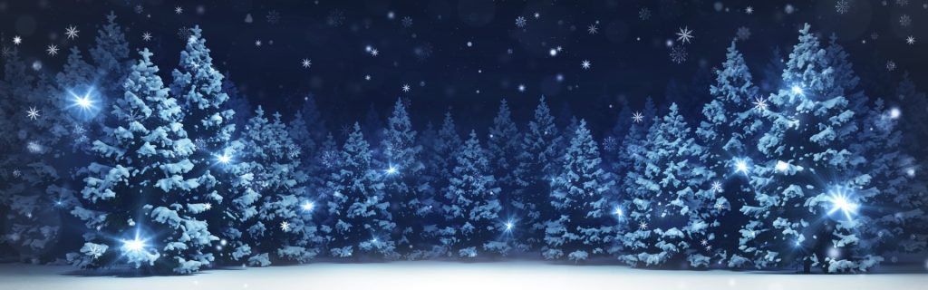 Christmas Banner