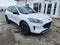 2020 Ford Escape SE Sport Hybrid