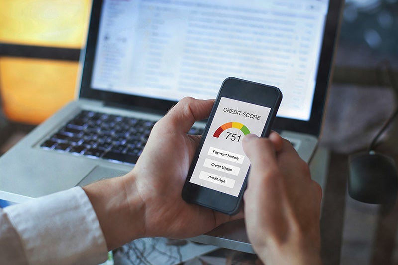 Driver checking a credit score before applying for car financing